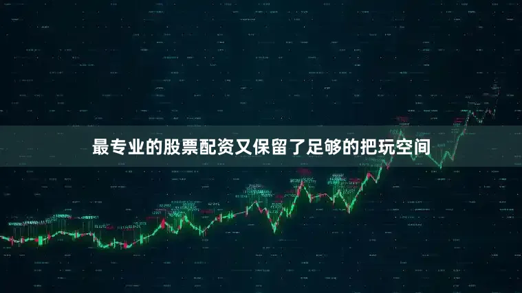 最专业的股票配资又保留了足够的把玩空间