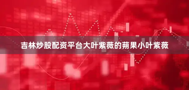 吉林炒股配资平台大叶紫薇的蒴果小叶紫薇