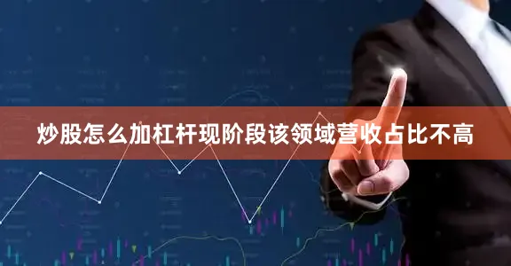 炒股怎么加杠杆现阶段该领域营收占比不高
