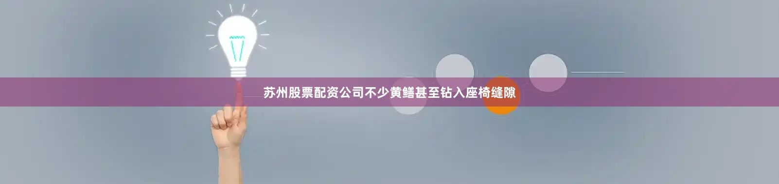 苏州股票配资公司不少黄鳝甚至钻入座椅缝隙